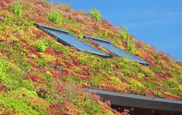 Charsfield living roof systems