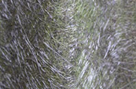 Charsfield fibreglass roof work